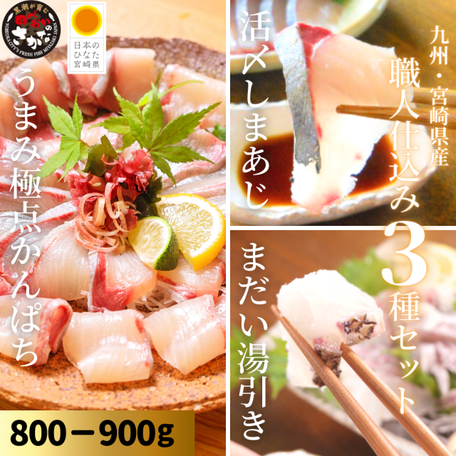 職人仕込み３種セット 約800-900ｇ（柵）／うまみ極点かんぱち・真鯛塩〆湯引き・活〆しまあじ【送料無料】