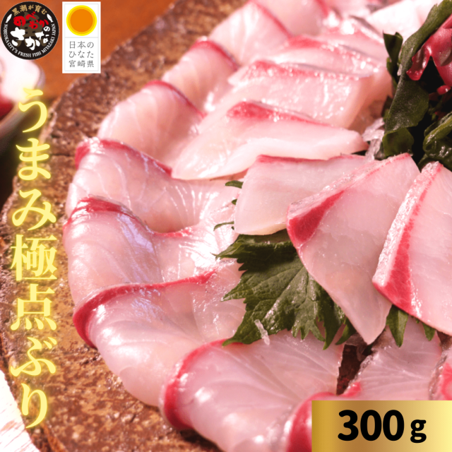 うまみ極点製法 日向灘ぶり（柵） 約300ｇ【送料無料】