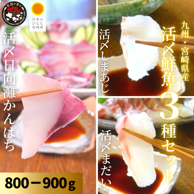 【送料無料】活〆鮮魚３種セット 約800-900ｇ（柵）／日向灘かんぱち・真鯛・ひらめ