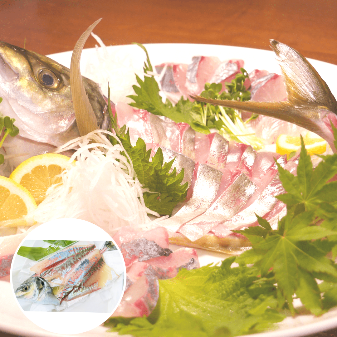 活〆しまあじ姿造り 宮崎県延岡産 日向灘産 請関水産