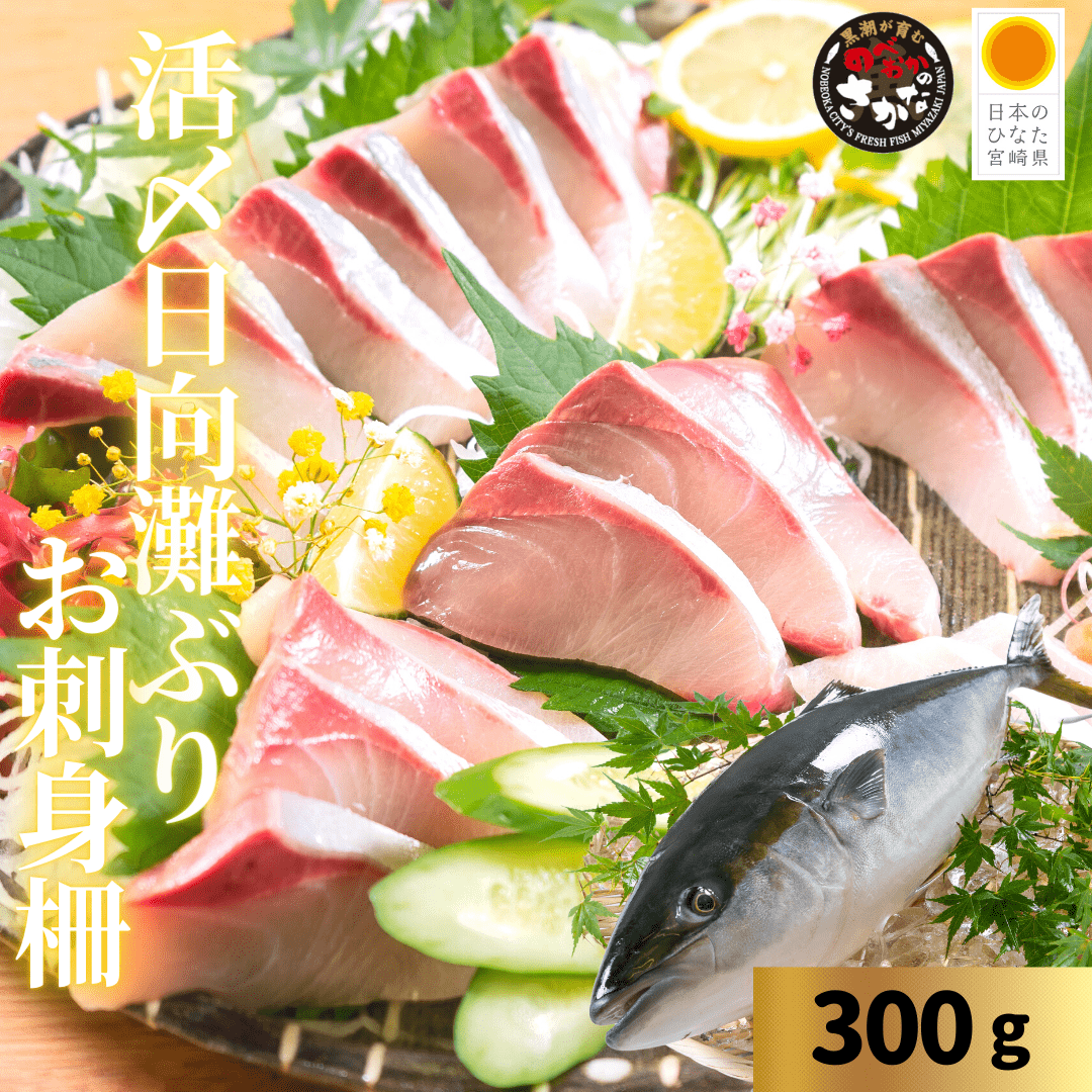 活〆日向灘ぶり 食べきりパック（柵） 約300ｇ【送料無料】