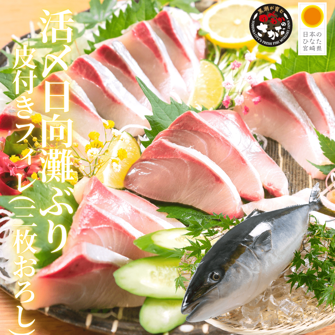 活〆鮮魚／日向灘ぶり（はまち）／生／皮付フィレ半身分パック