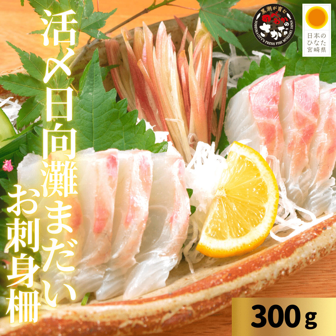 活〆日向灘真鯛 食べきりパック（柵） 半身分