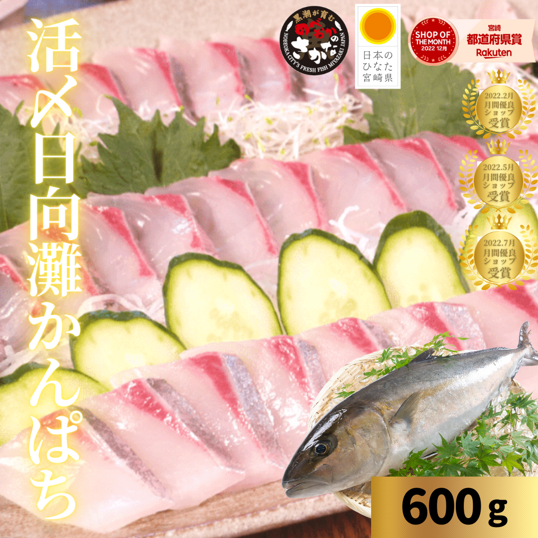 【送料無料】活〆日向灘かんぱち（柵）約１kgパック