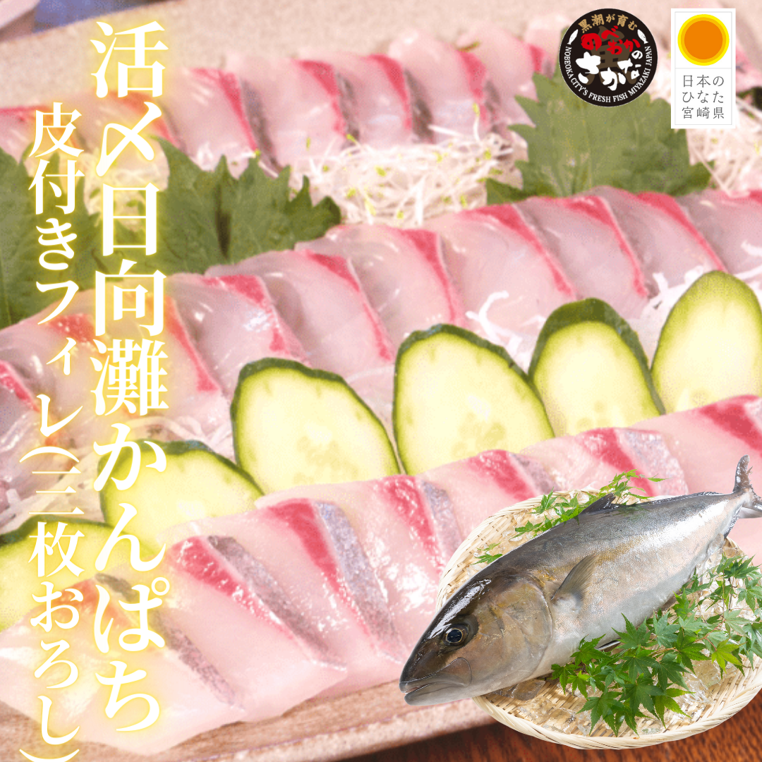 【送料無料】活〆日向灘かんぱち 皮付フィレ（三枚卸し）