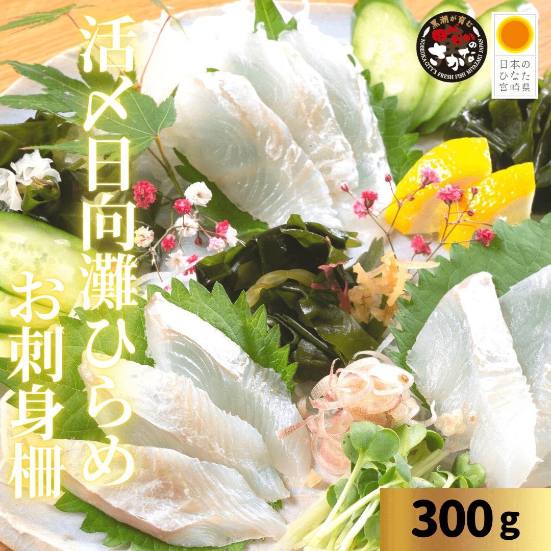 活〆日向灘ひらめ 食べきりパック（柵） 約300ｇ