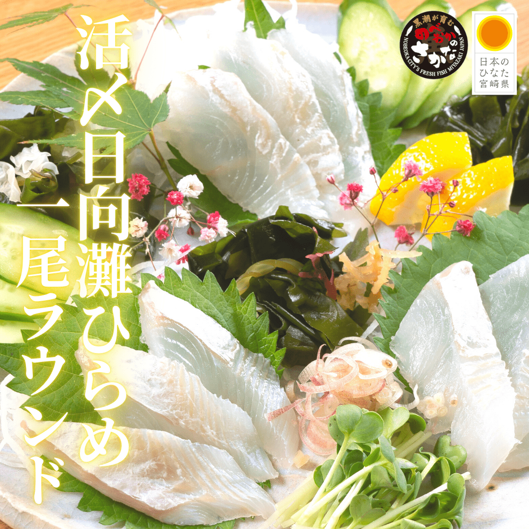 【送料無料】活〆日向灘ひらめ 1尾