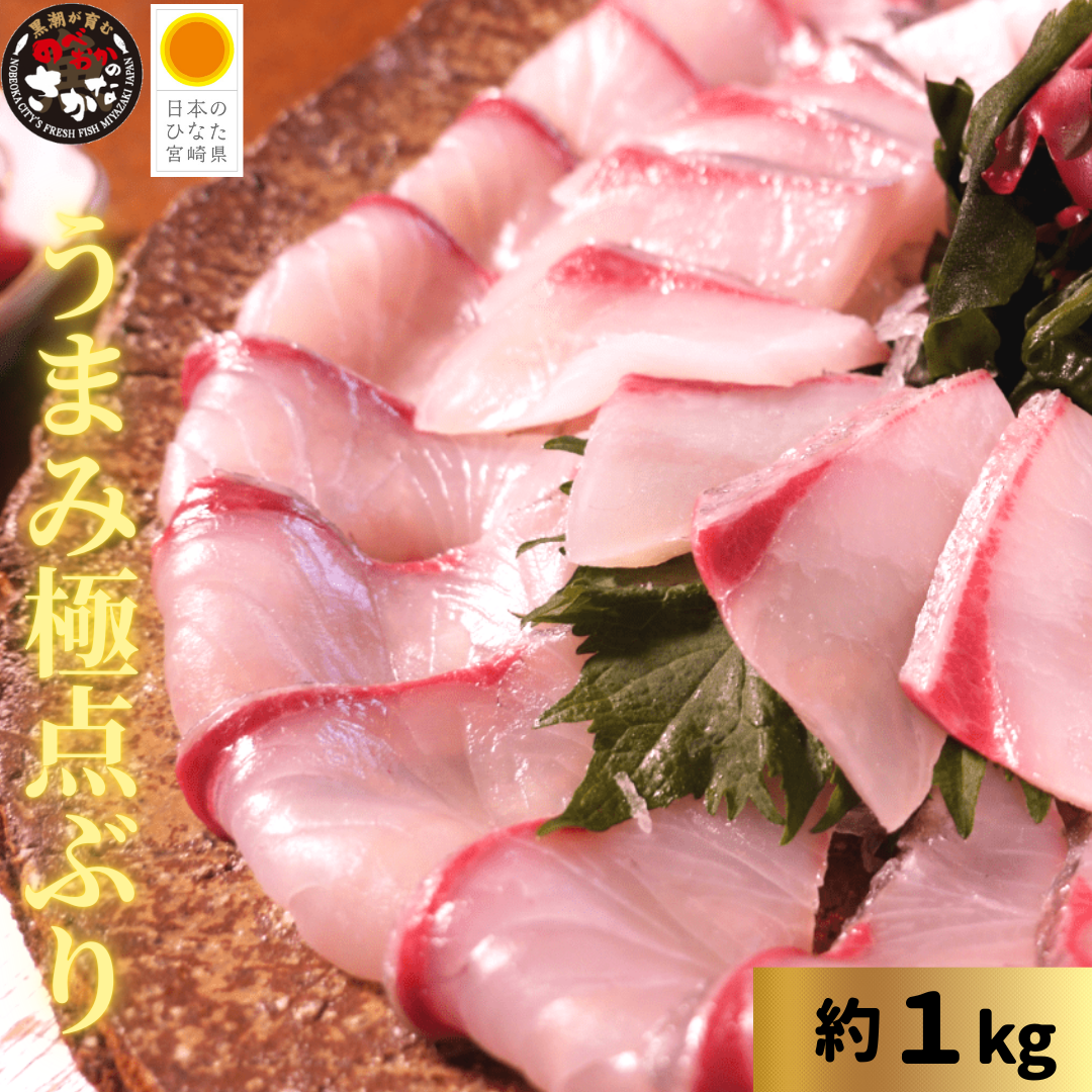うまみ極点製法 日向灘ぶり（柵）約700～800g【送料無料】