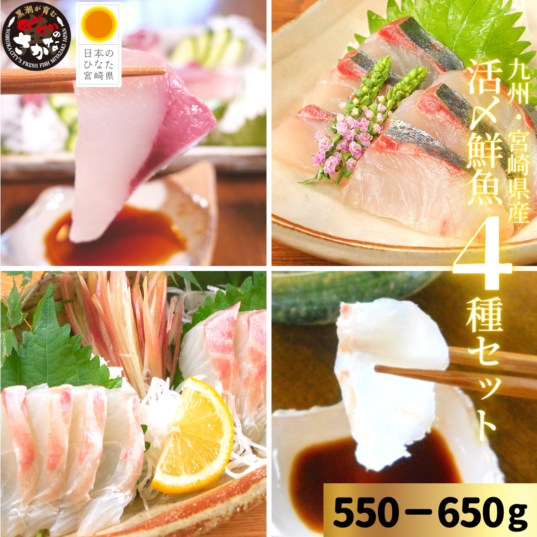 【送料無料】活〆鮮魚４種セット 約550-650ｇ（柵）／日向灘かんぱち・真鯛・ひらめ・しまあじ