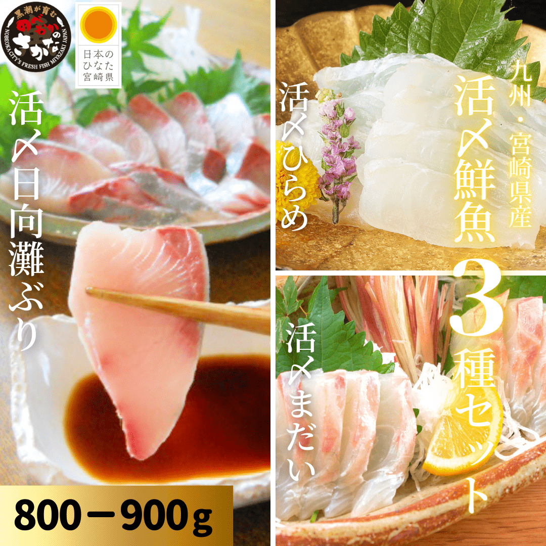 【送料無料】活〆鮮魚３種セット 約800-900ｇ（柵）／日向灘ぶり・真鯛・ひらめ