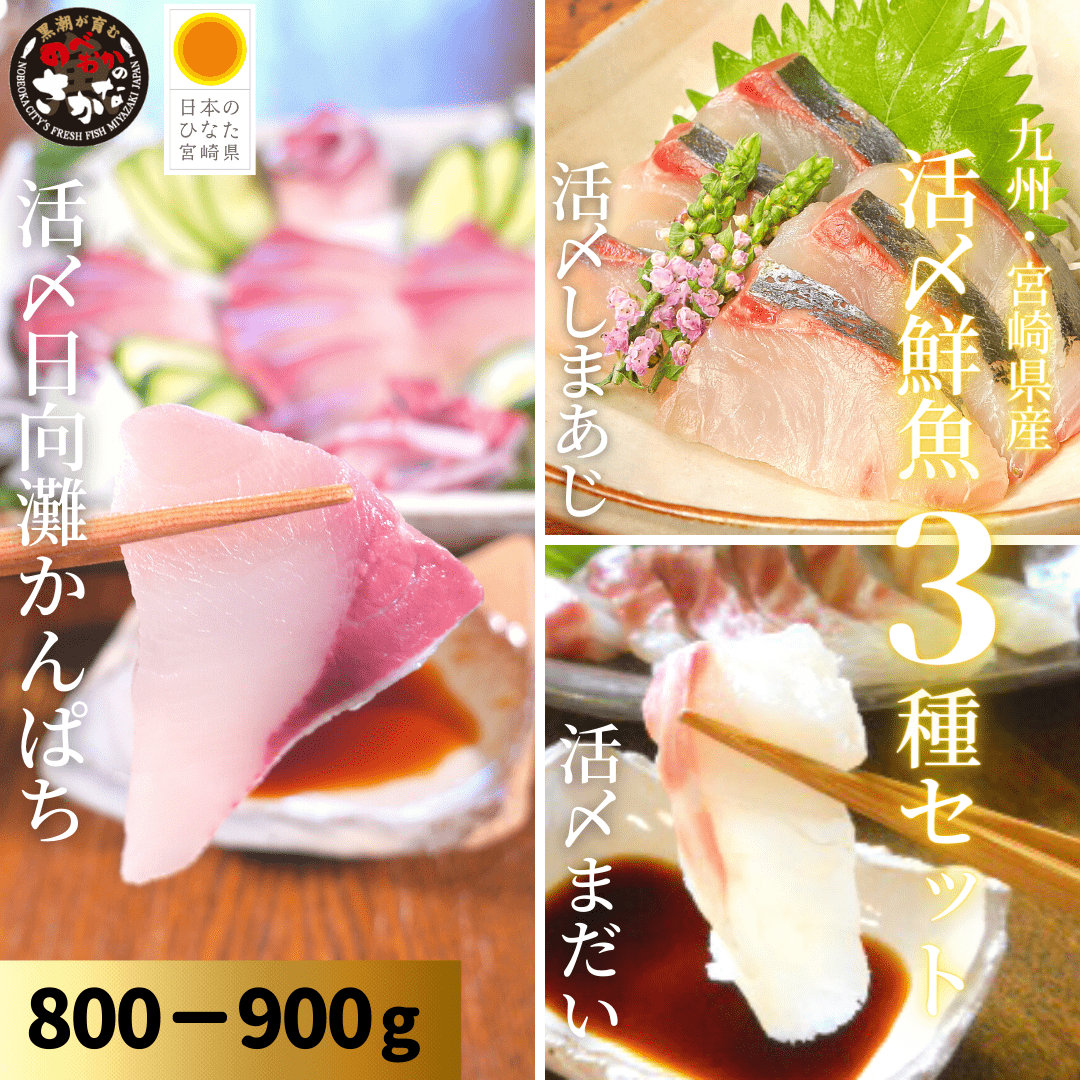 【送料無料】活〆鮮魚３種セット 約800-900ｇ（柵）／日向灘かんぱち・真鯛・しまあじ