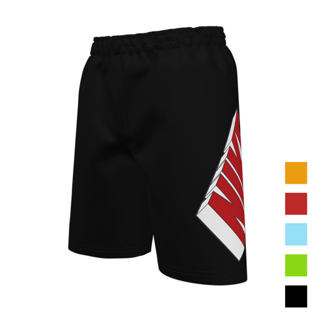 【2024 SP SU 】 【30%OFF】【NIKE SWIM公式】3D7 ボレーショーツ NESSE805
