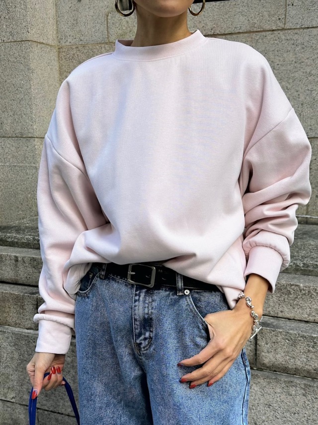 Crew neck over size sweat pull over