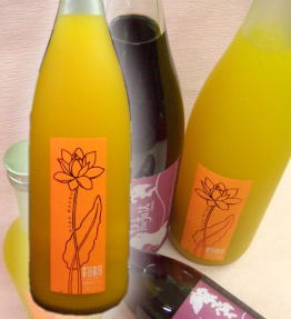 人気の梅酒　話題のマンゴと梅酒のコラボ　フルフルマンゴ梅酒 1800ml