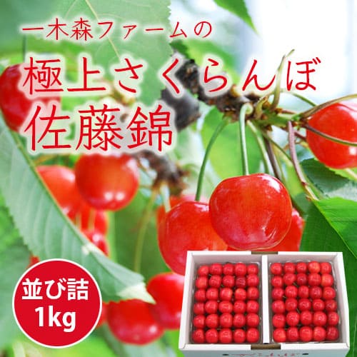 極上さくらんぼ佐藤錦バラ1kg 500g 2