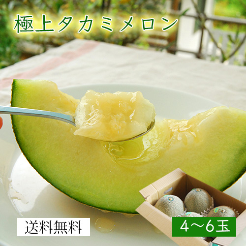 極上タカミメロン約5kg 青肉4玉 6玉 極上タカミメロン約5kg 青肉4玉 6玉