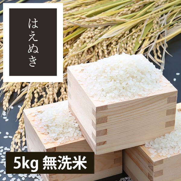 【定期購入】うまいず米／山形県産はえぬき5kg無洗米