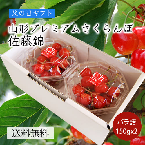 【父の日ギフト】プレミアムさくらんぼ佐藤錦300gLサイズ以上（150g×2）[クリアBOX入]