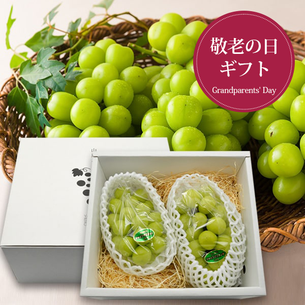 【敬老の日ギフト】プレミアムぶどうシャインマスカット約1kg(2房)