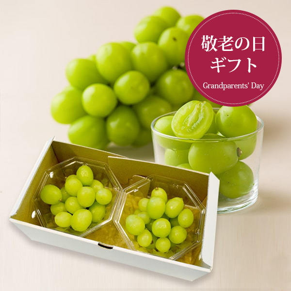 【敬老の日ギフト】プレミアムぶどうシャインマスカット約600g(300g×2パック)