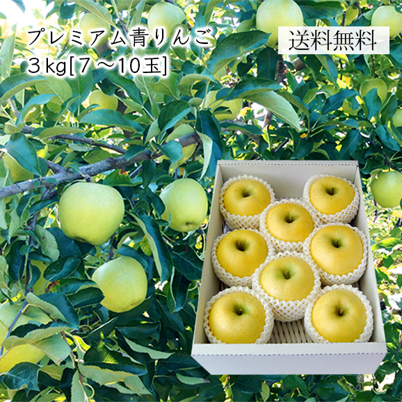 プレミアム青りんご約 5kg 16 18玉 化粧箱入