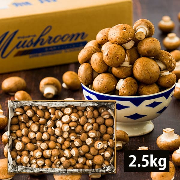 《訳あり》舟形マッシュルームバラ詰約2.5kg ブラウン
