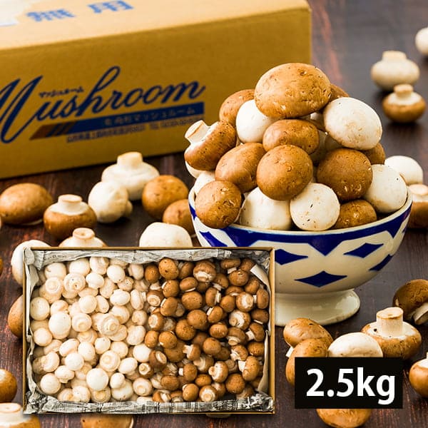《訳あり》舟形マッシュルームバラ詰約2.5kg ミックス