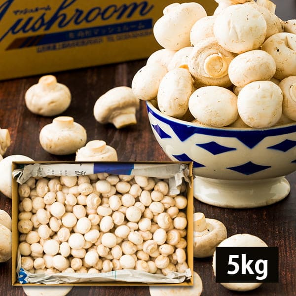 【大容量】《訳あり》舟形マッシュルームバラ詰約5kg ホワイト