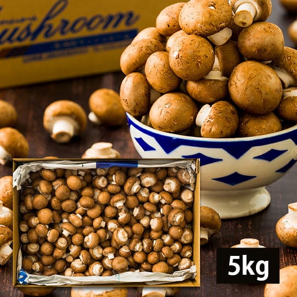 【大容量】《訳あり》舟形マッシュルームバラ詰約5kg ブラウン