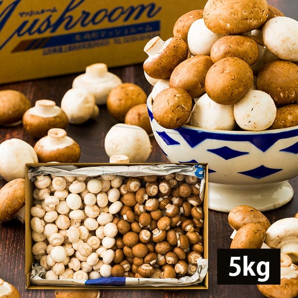 【大容量】《訳あり》舟形マッシュルームバラ詰約5kg ミックス