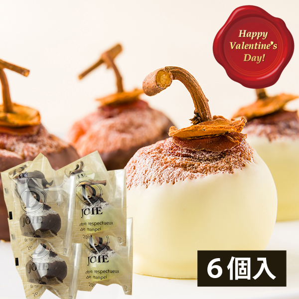 【バレンタインギフト】紅柿ショコラ(6個)[簡易包装]