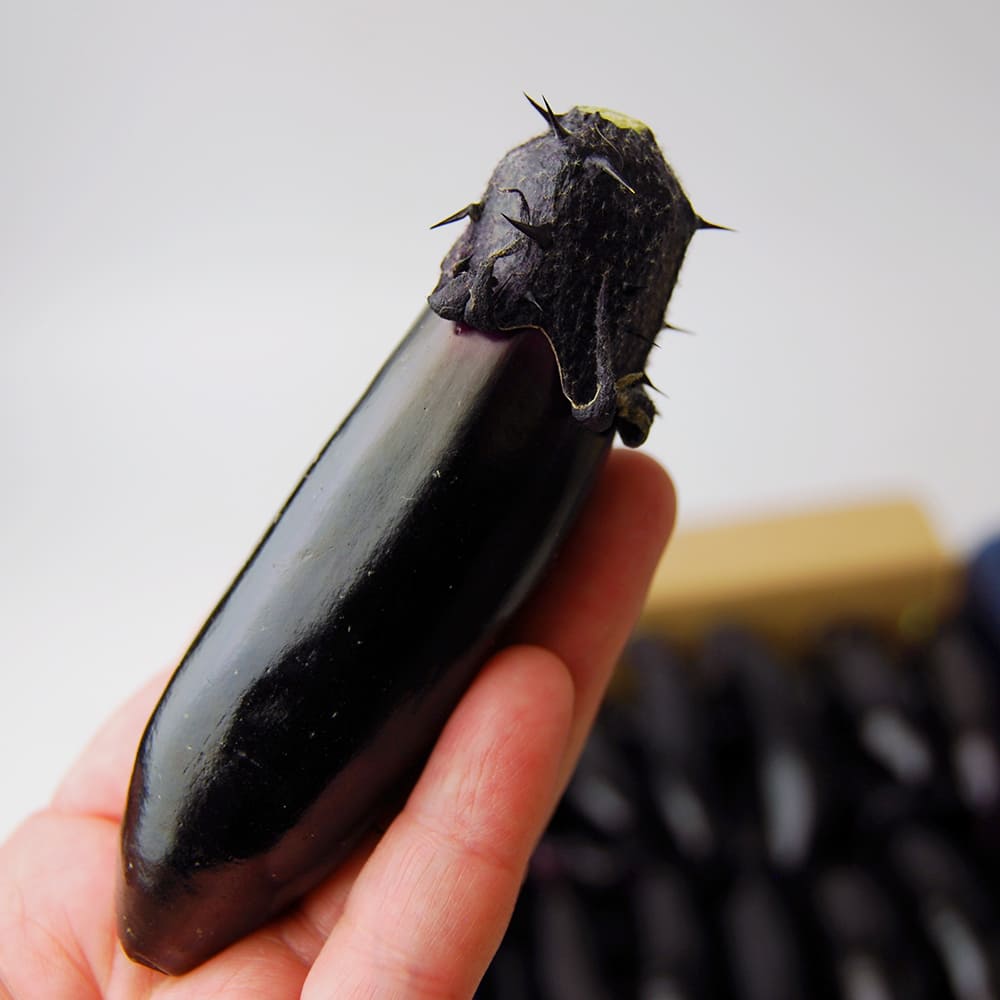 朝採り小なす1kg(3Sサイズ)[浅漬けの素付き][箱入]