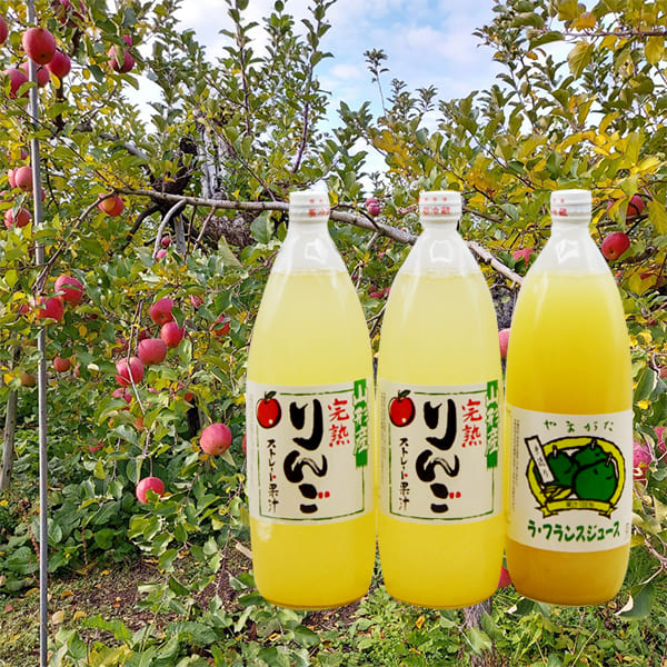 厳選ふじりんごジュース2本・ラフランスジ ュース1本入(1L×計3本)