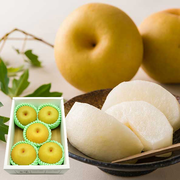 【2025年販売見合わせ】山形の和梨 幸水(こうすい)約2kg(5玉前後)