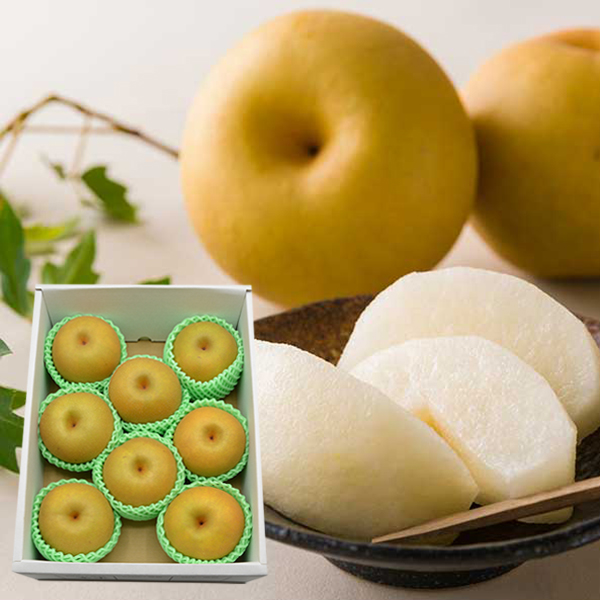 【2025年販売見合わせ】山形の和梨 幸水(こうすい)約3kg(8玉前後)