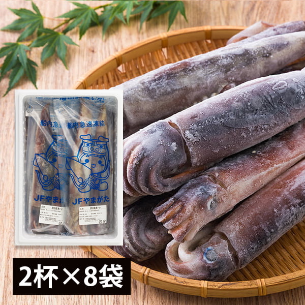 酒田船凍イカ16杯(2杯×8袋)