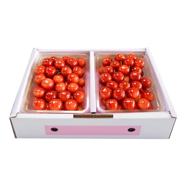 さくらんぼ佐藤錦　1kg（500g×2パック） さくらんぼ佐藤錦1kg（500g×2パック）きれい詰Lサイズ以上