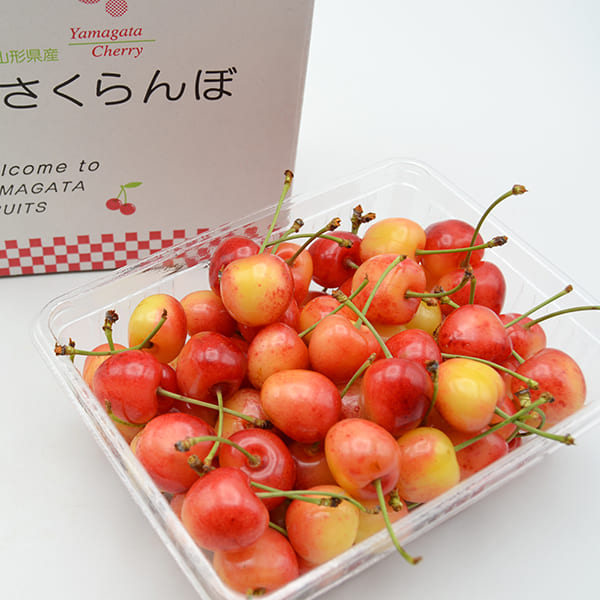 山形県産さくらんぼナポレオン500gバラ詰Lサイズ以上