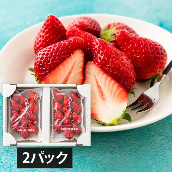 山形県東根市産いちご姫(約280g×2パック)