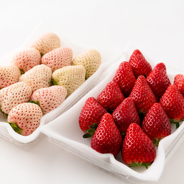 天使のいちごといちご姫 紅白詰め合わせ(約270g×2パック)