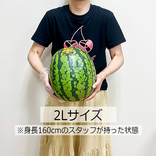 山形県産尾花沢すいか1玉