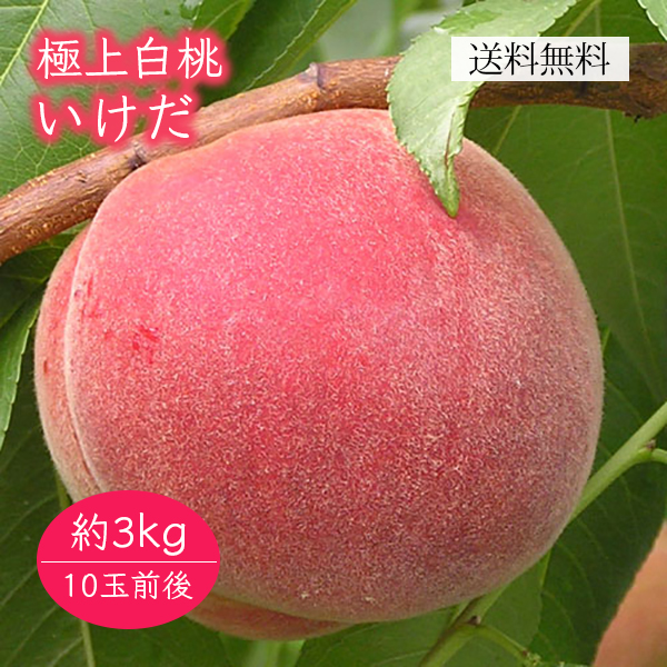 極上白桃いけだ約3kg 10玉前後