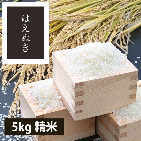 【定期購入】うまいず米／山形県産はえぬき5kg精米