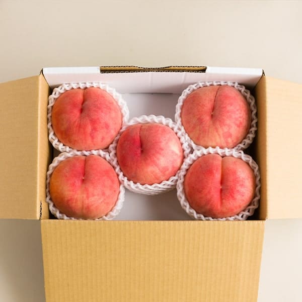 021-00202sq12.jpg?t=20230705150605