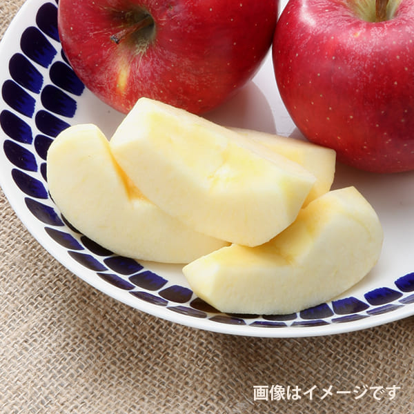 訳あり》堀農園の朝日町サンふじりんご約10kg(バラバラ詰)