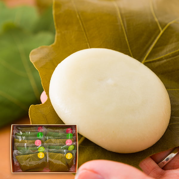 かすり家／山形のかしわ餅(10個セット)