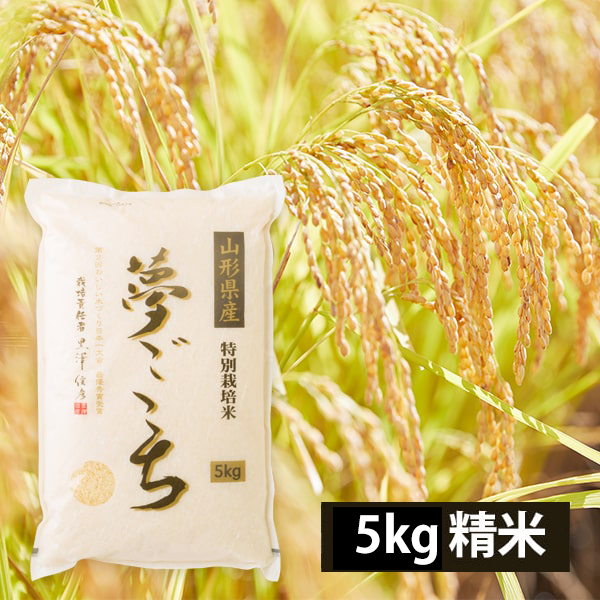 黒澤ファームのお米「夢ごこち」精米約5kg（令和8年度米）
