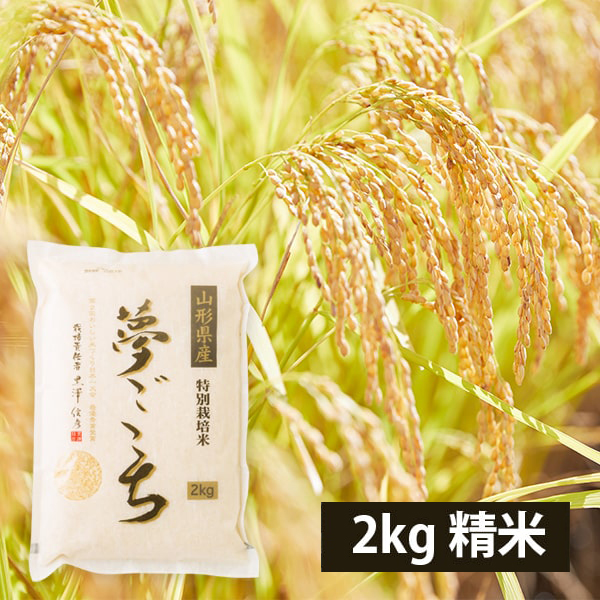 黒澤ファームのお米「夢ごこち」精米約2kg（令和8年度米）
