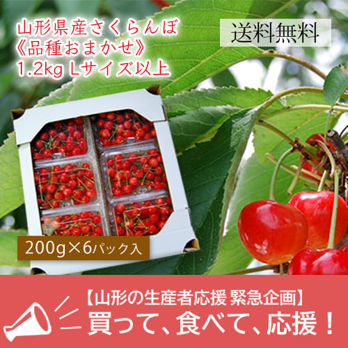 送料無料 山形県ふっこう 復袋 山形県産さくらんぼ 品種おまかせ 1 2kgバラ詰lサイズ以上 0g 6パック