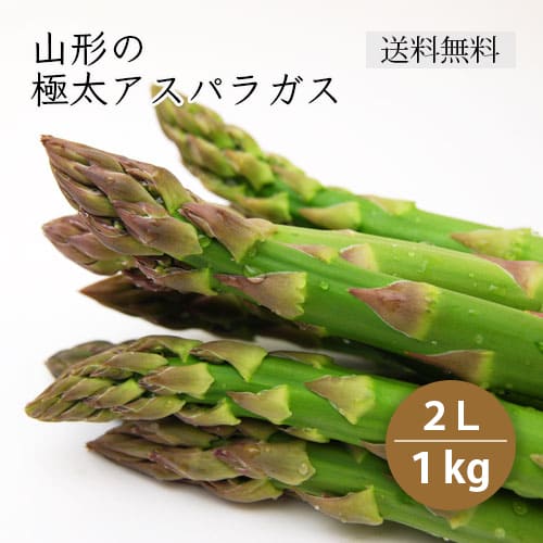 極太アスパラ2l 1kg
